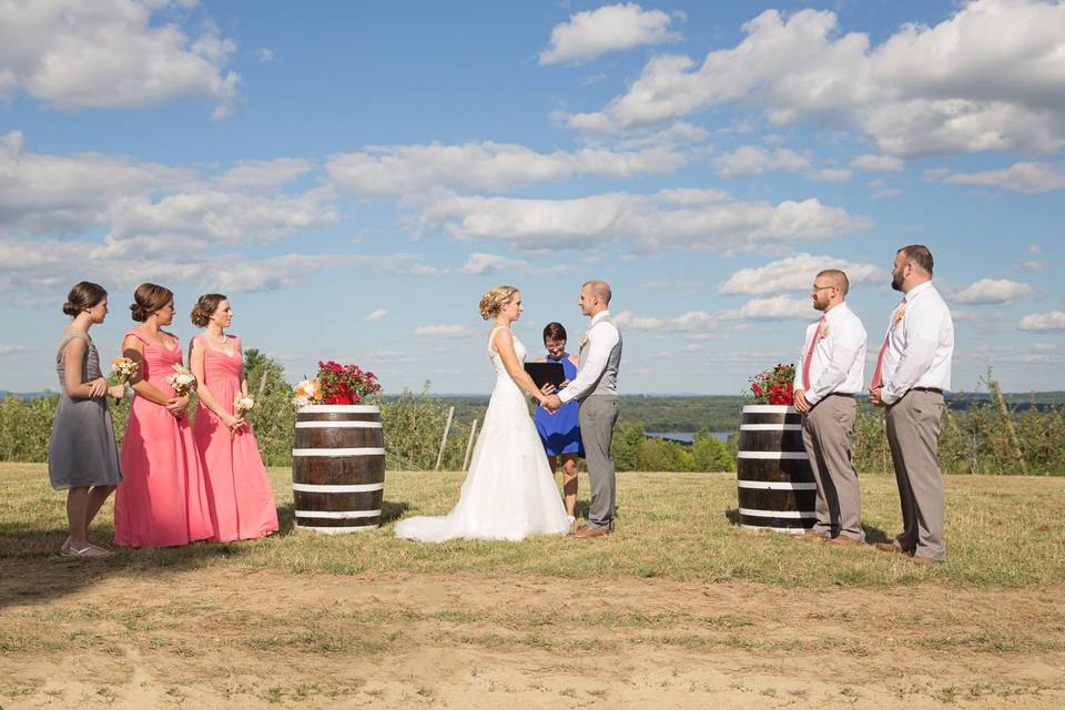 Vista of maine vineyard & cidery