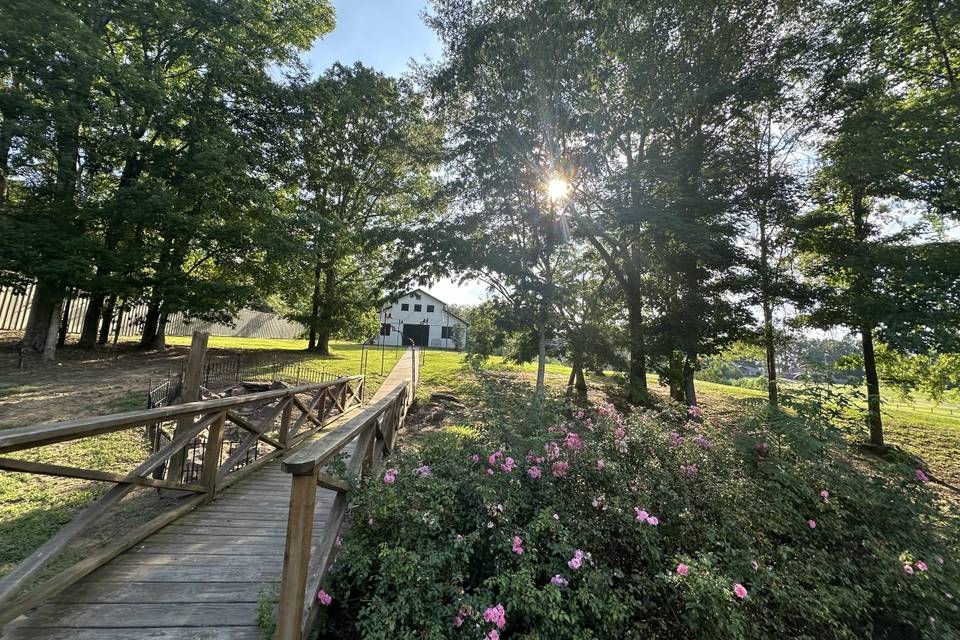 Bridge Garden to barn