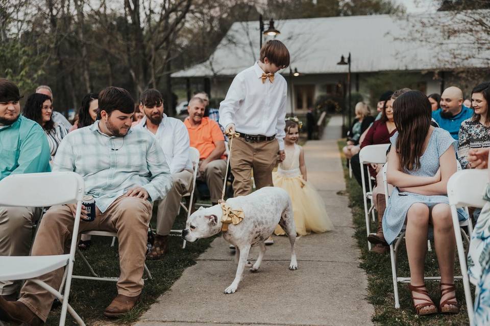 Outdoor Wedding Ceremony