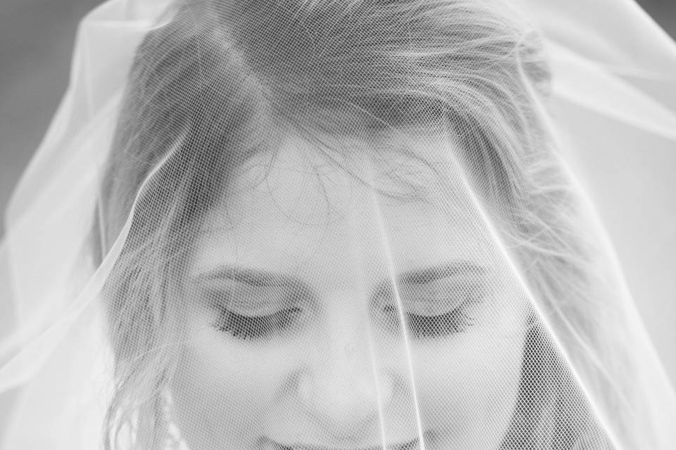 ShelbyCole Photography