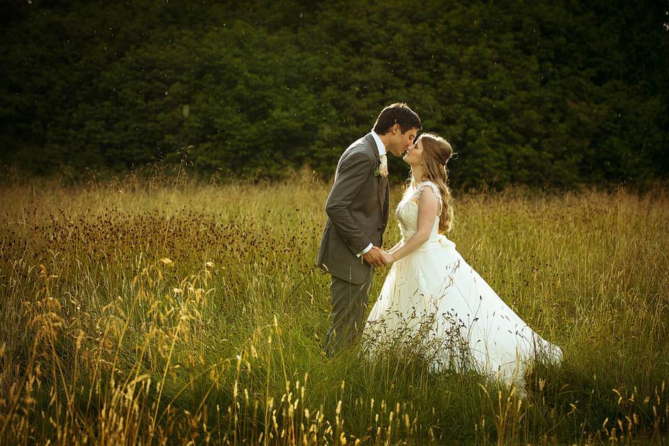 Kiss in the field