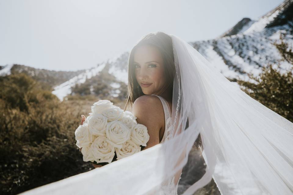 Bride Portraits