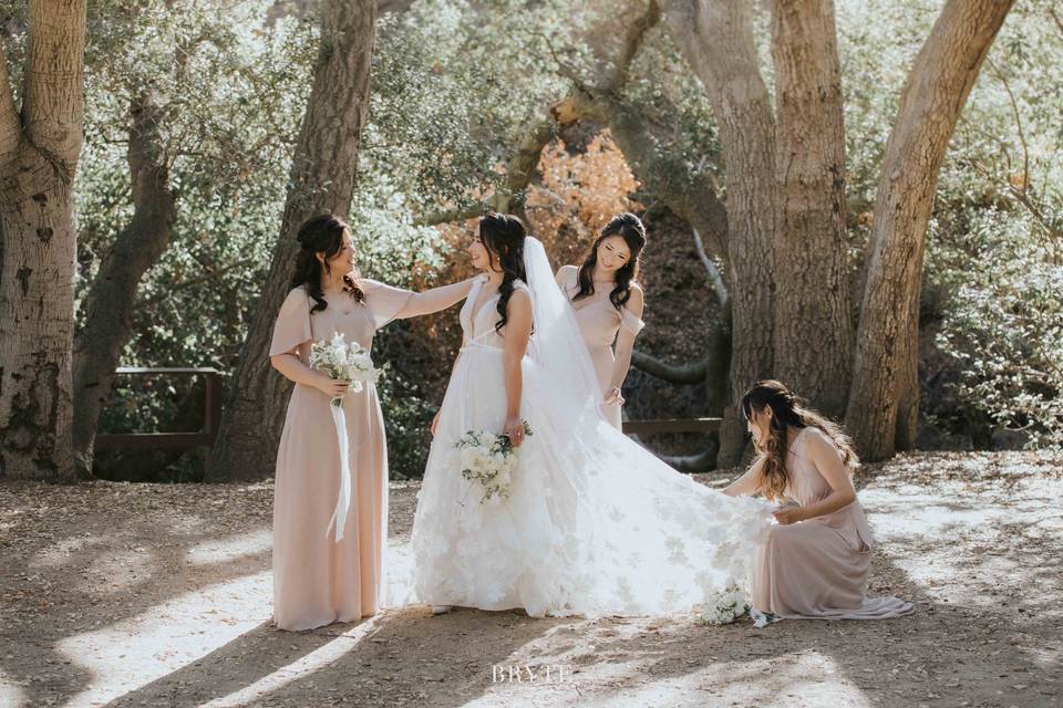 Bridesmaid Oak Canyon Nature