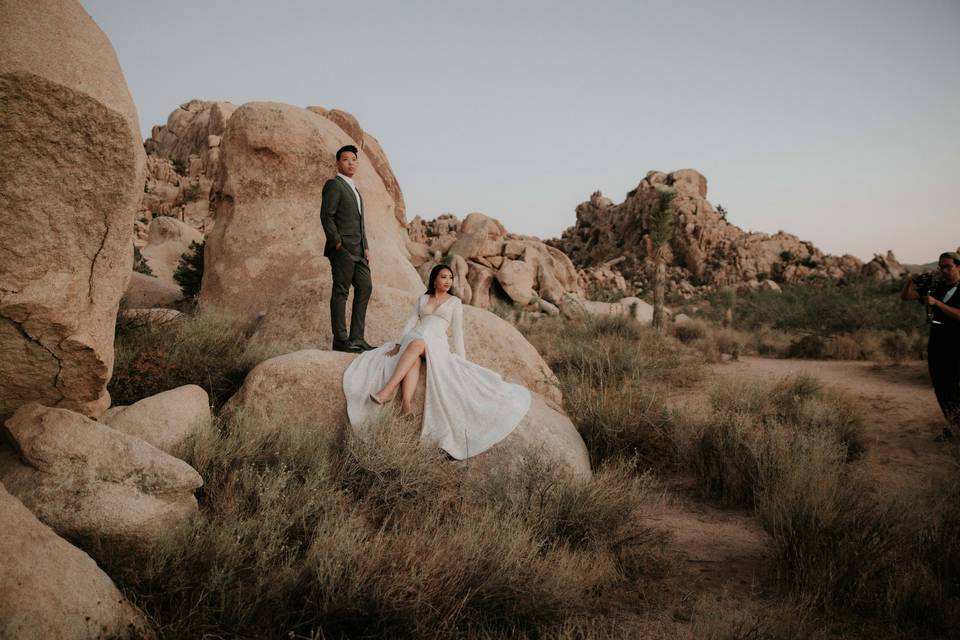 Joshua tree rocks