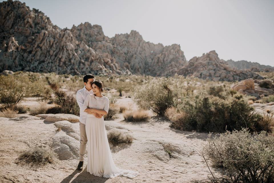 Joshua Tree Glow