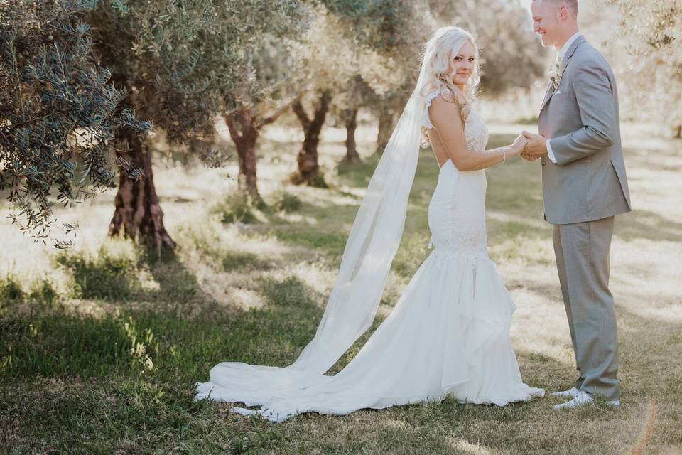 Bride and Groom in Olive Grove