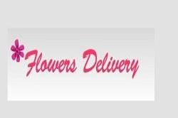 Same Day Flower Delivery Chicago