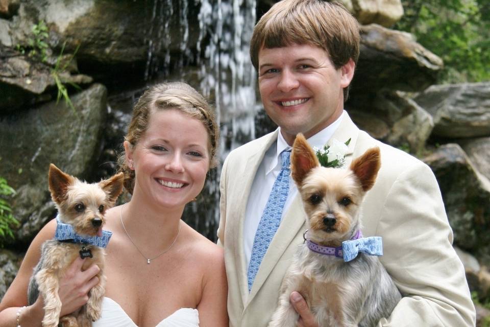 Newlyweds with dogs