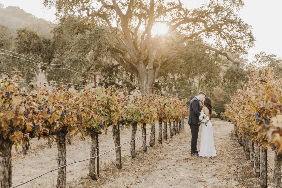 Winery Wedding