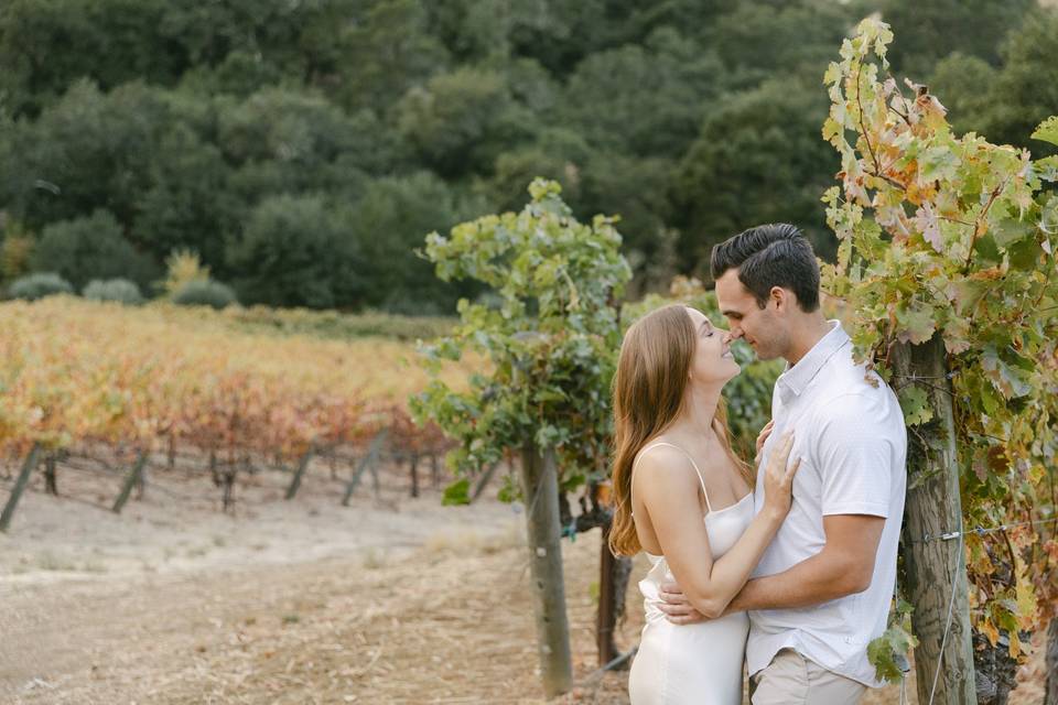 Winery Engagement