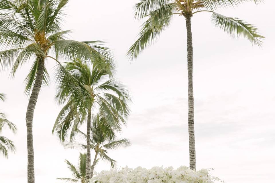 Four Seasons Hualalai Wedding