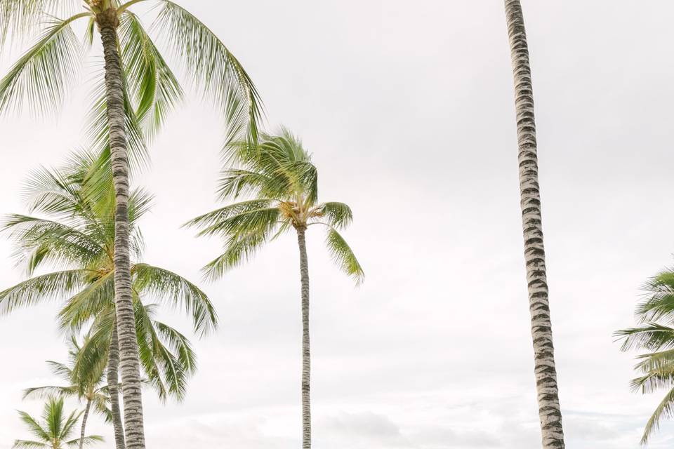 Four Seasons Hualalai Wedding