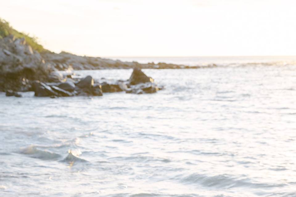 Maui destination engagement