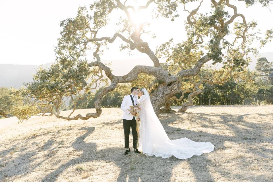 Holman Ranch Luxury wedding