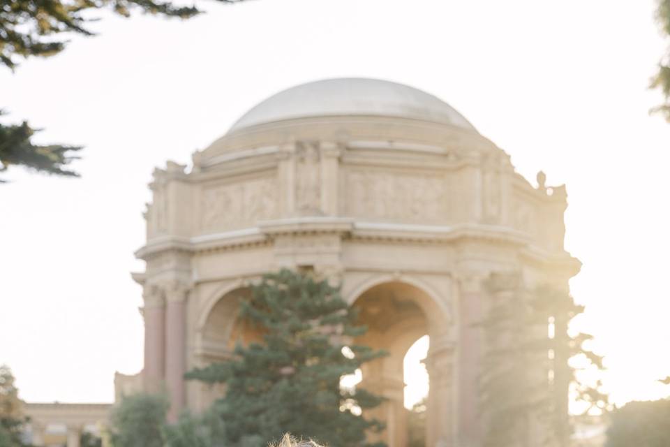 Palace of Fine arts Engagement