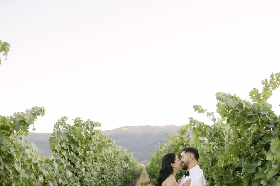 Napa California wedding