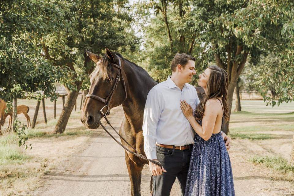 Engagement With Horse