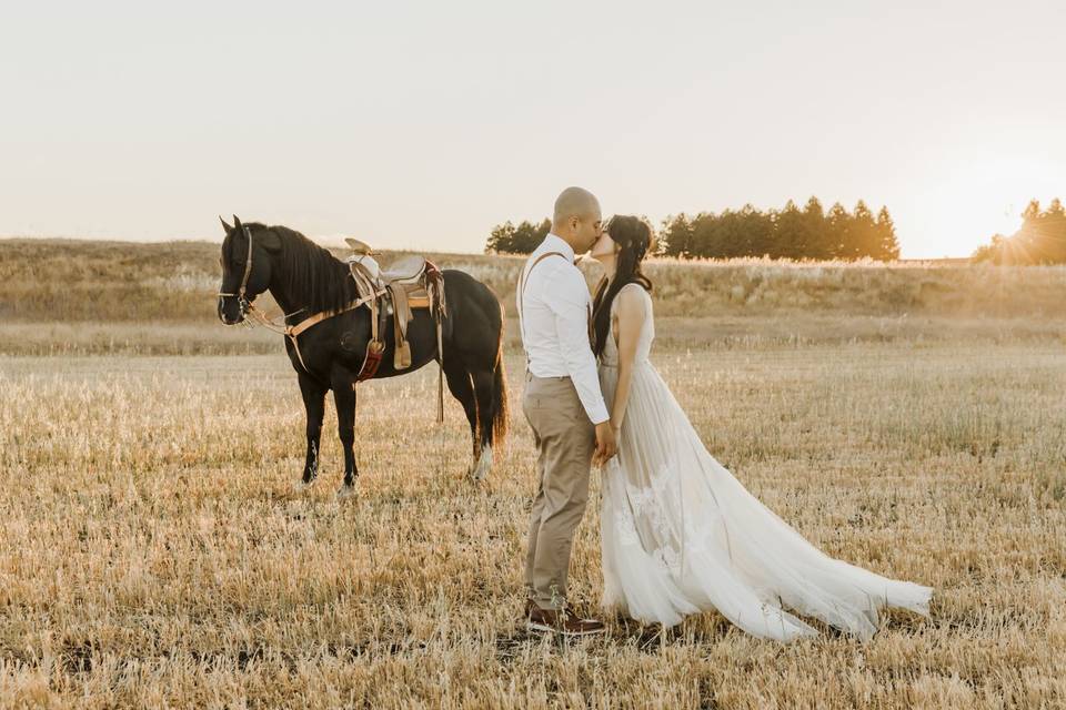 Wedding With Horse
