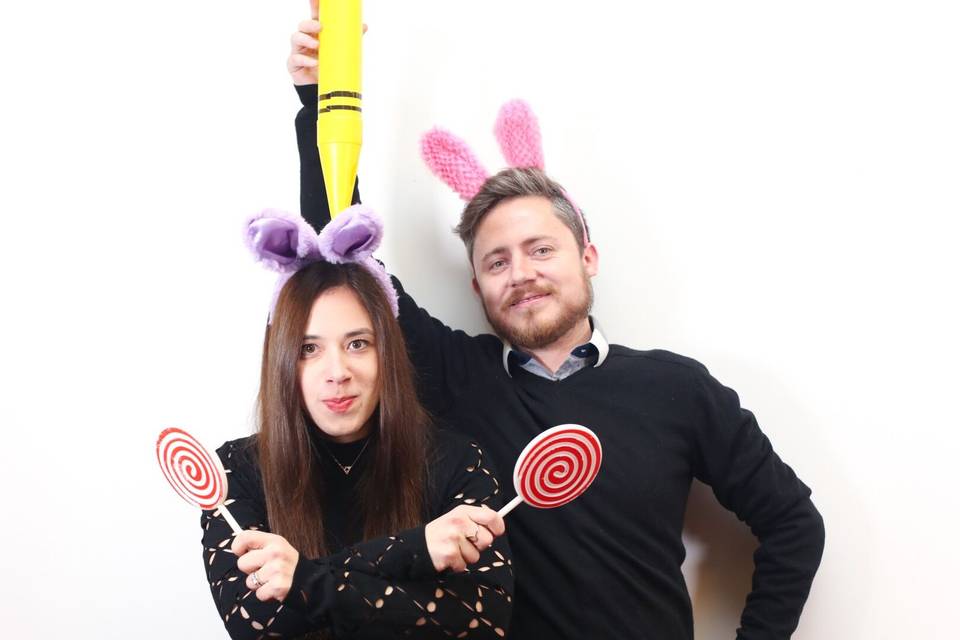 The bunnies