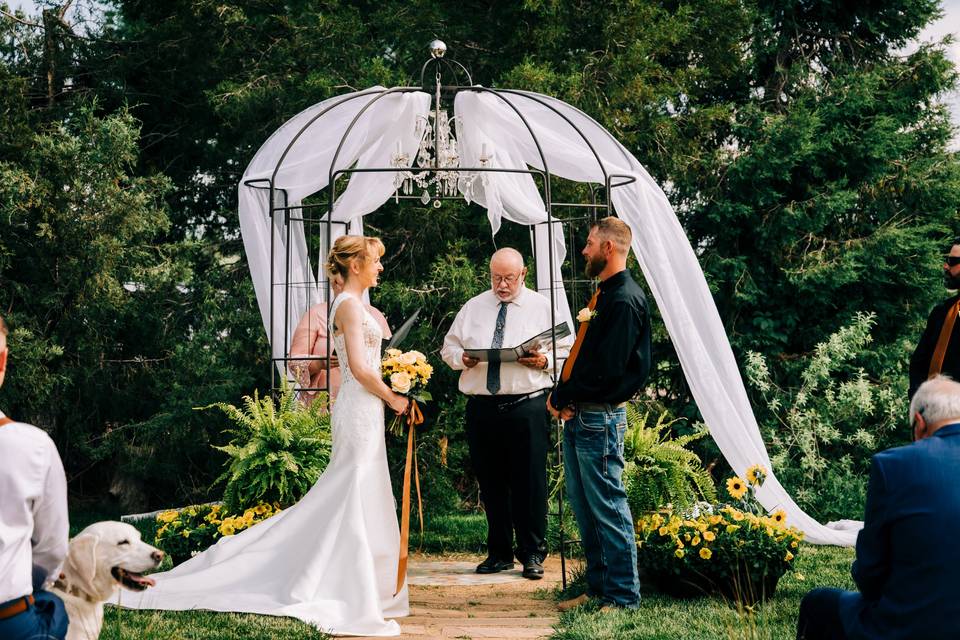 The iron garden arch