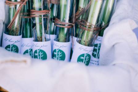 Included lucky bamboo favors