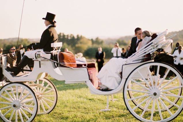 A carriage ride
