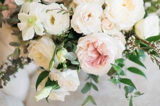 Blooms 'n Blossoms LLC