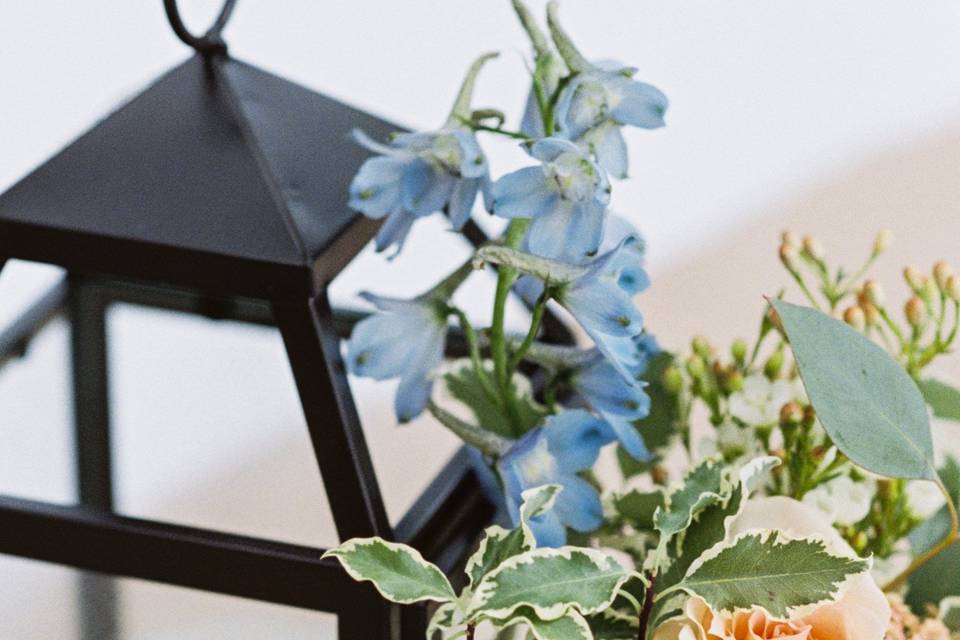 Blooms 'n Blossoms LLC