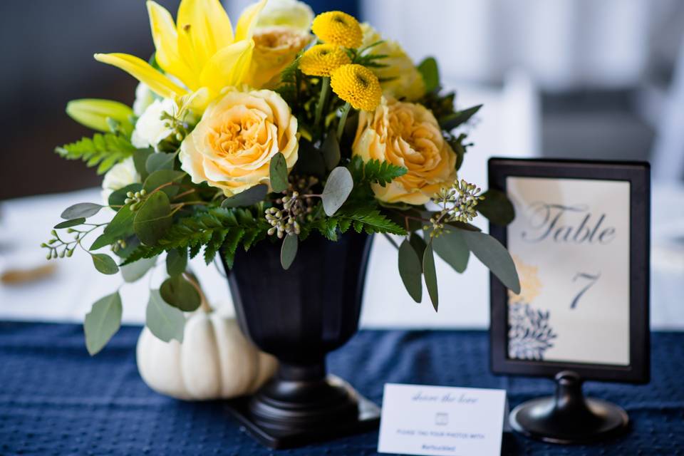 Blooms 'n Blossoms LLC