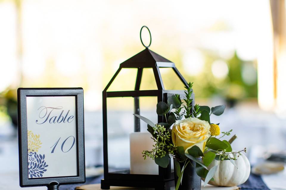 Blooms 'n Blossoms LLC