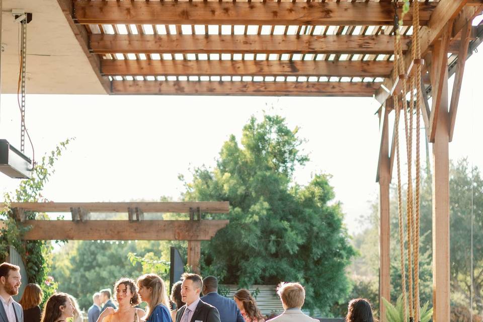 Bethany Picone Photography