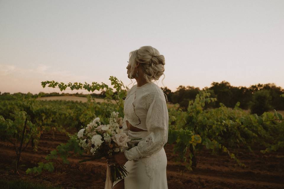 In the vines at sunset