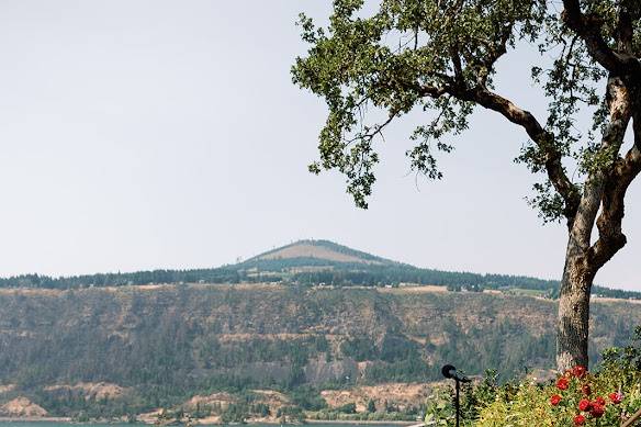 Columbia Gorge Wedding