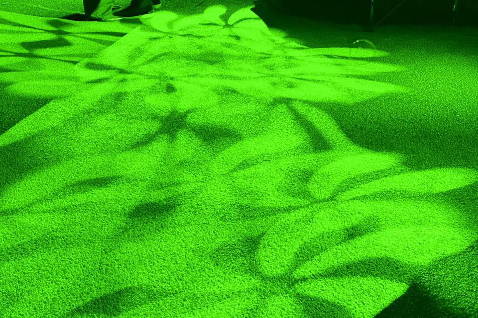 Party Lighting