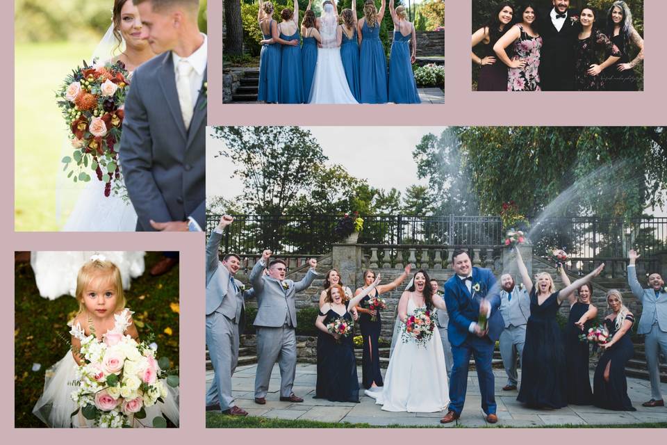 Various Wedding Highlights