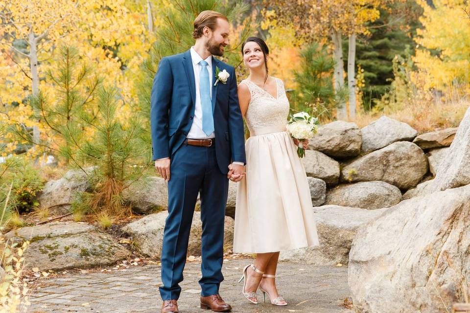 Blush Lace Chiffon Gown