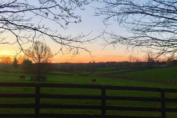 Fairyhouse Hall Lexington, Kentucky