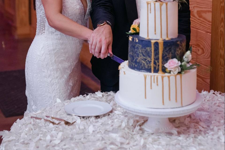 Newly married cutting cake