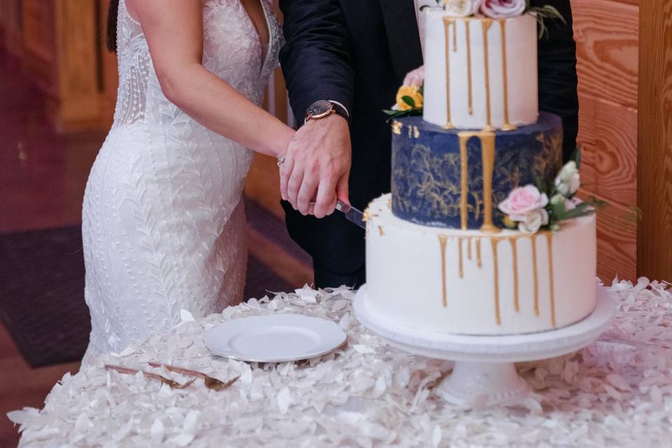 Newly married cutting cake