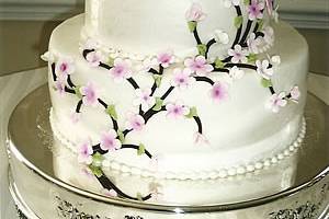 Beautiful cake