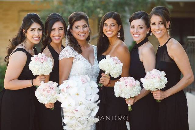Gorgeous Ladies