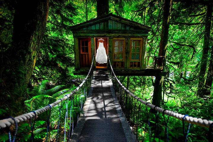 Treehouse Point Wedding
