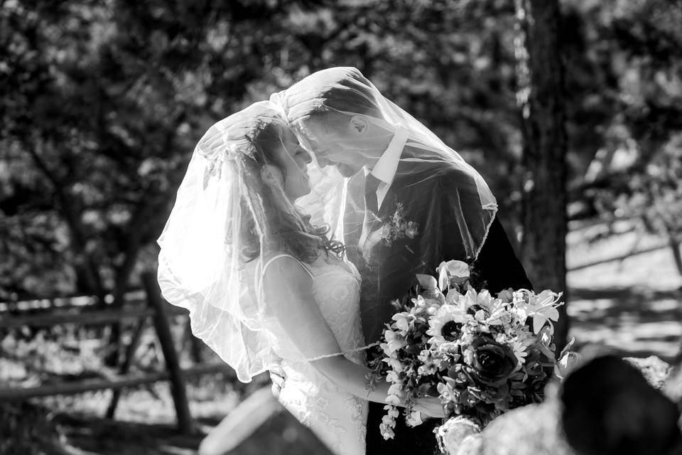 Covered love