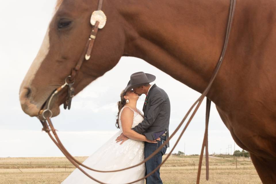 Horse shot