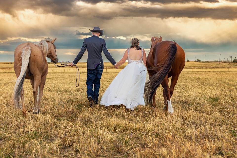 Out on the ranch