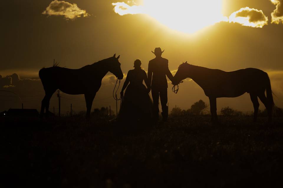 Out on the ranch