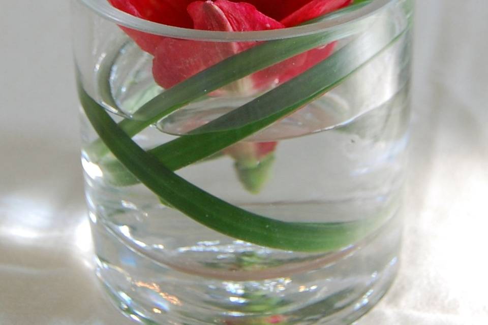 Cocktail Table Arrangement