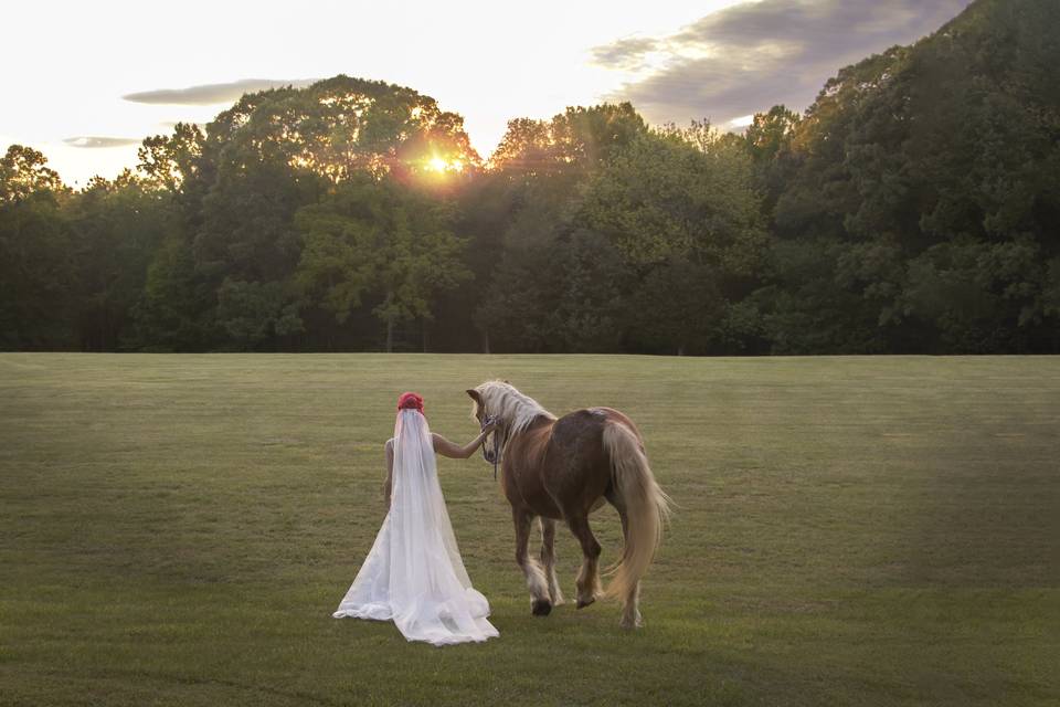 Bride and Her Horse 2020