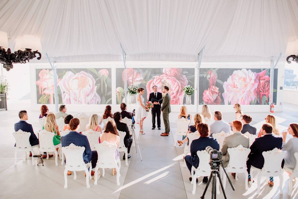 Elopement on Queen Terrace