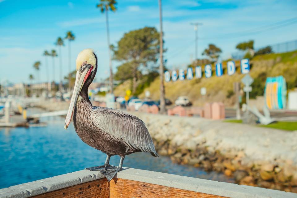 Oceanside Sign at the Harbor